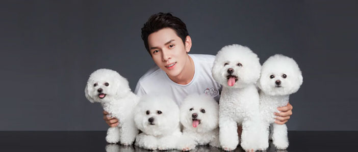 商標(biāo)注冊(cè)